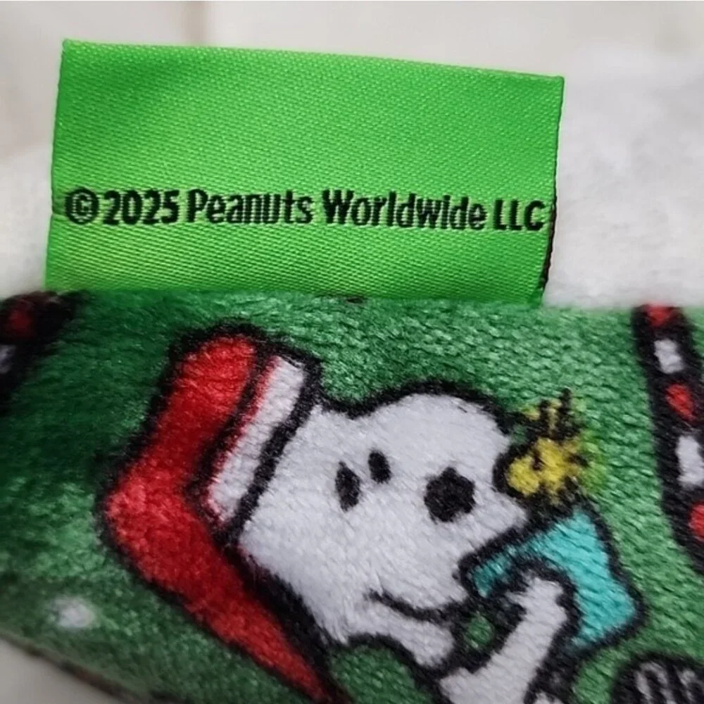 Charlie Brown Snoopy Christmas Pet Cat Dog Bed New With Tags 2025 Green Multi